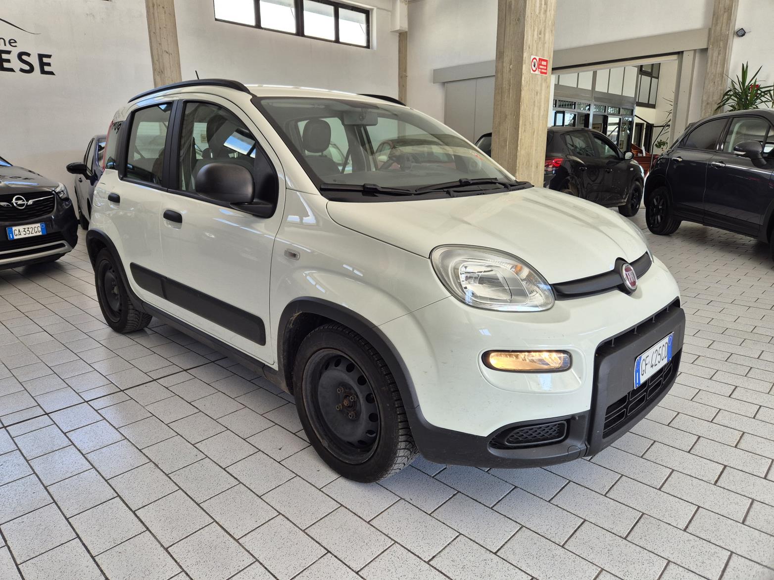 Panda